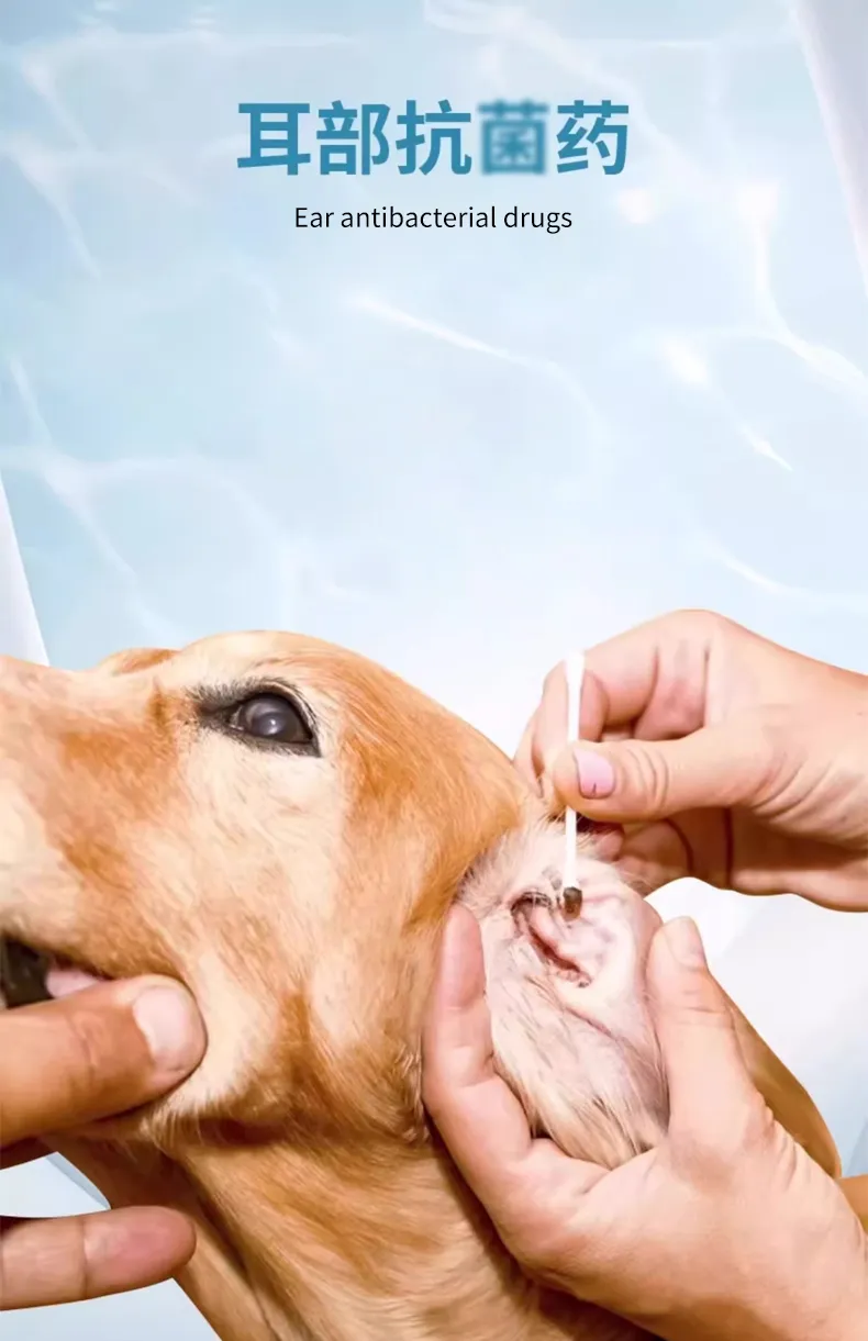 寵物滴耳劑抗菌耳疾預防耳道問題耳藥護理OEM貼牌代加工