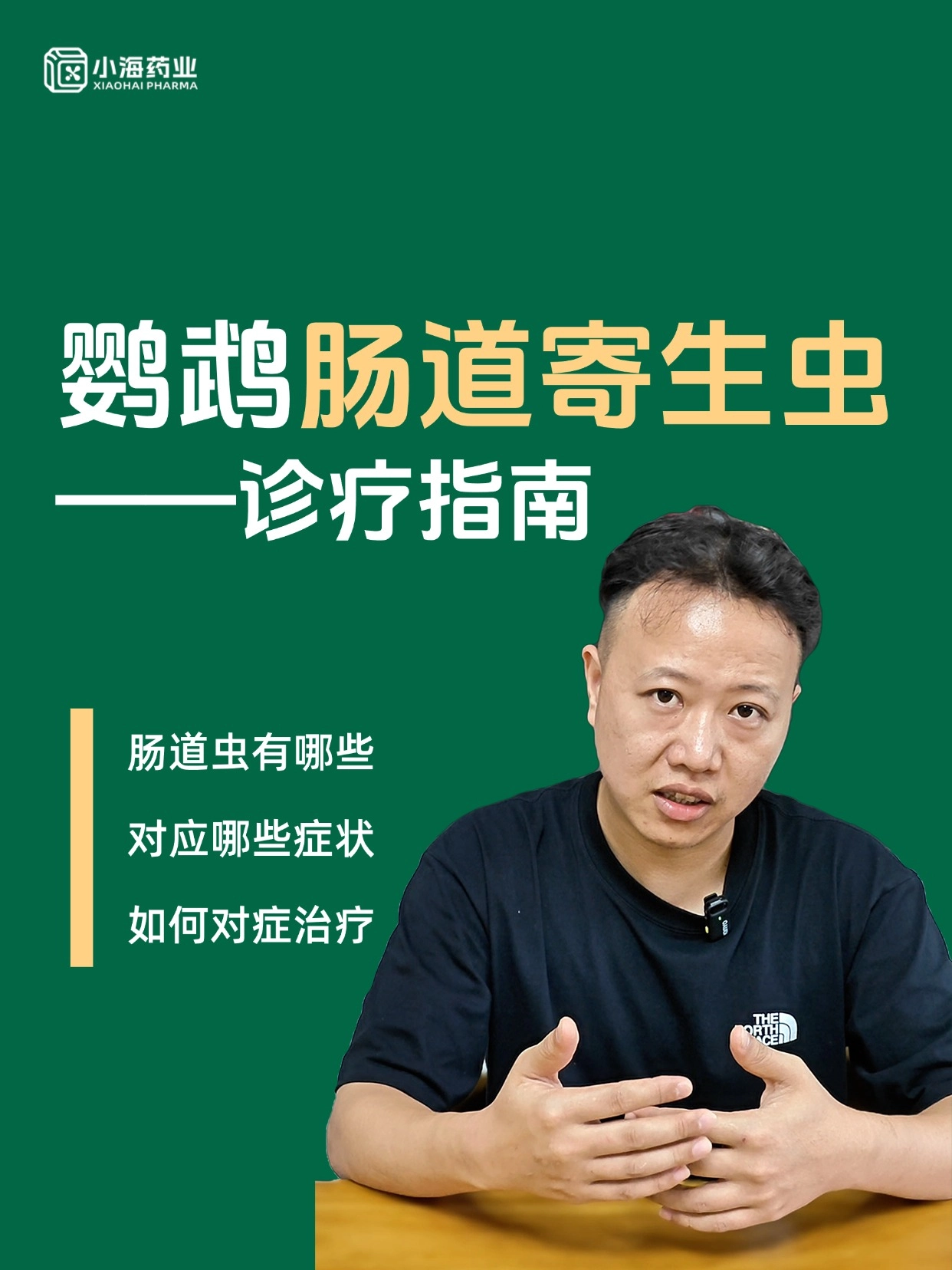 鸚鵡腸道寄生蟲(chóng)診療指南，鸚鵡有哪些體內(nèi)寄生蟲(chóng)？如何驅(qū)蟲(chóng)？