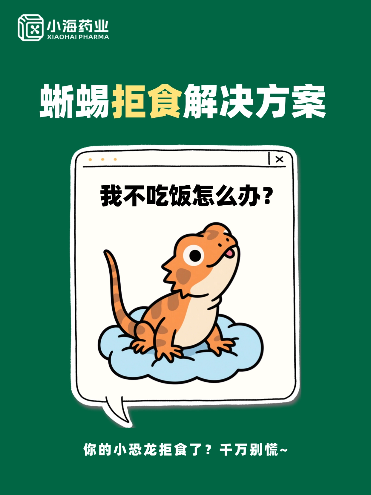 蜥蜴拒食怎么辦？