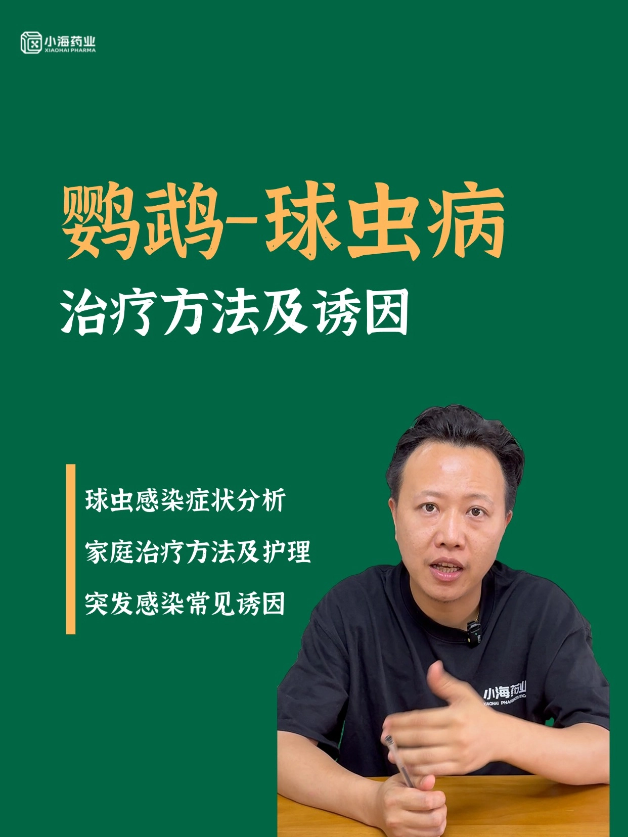 鸚鵡球蟲(chóng)感染有哪些癥狀？該怎么應(yīng)對(duì)？