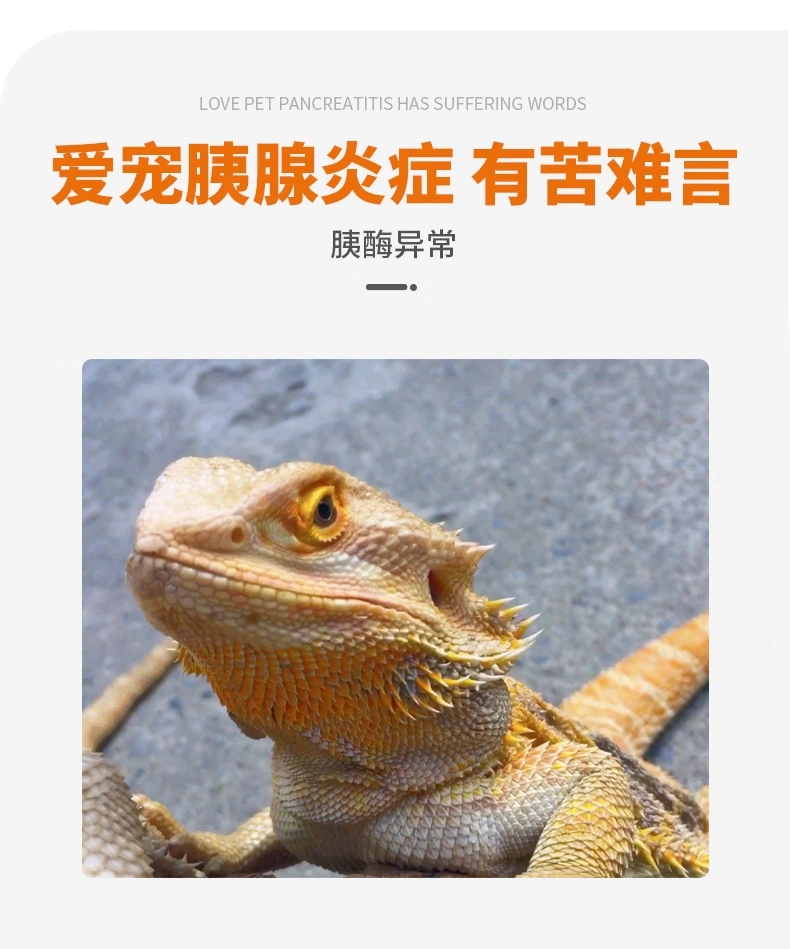 爬寵胰酶蜥蜴專(zhuān)用胰酶制劑提升消化酶活性促吸收營(yíng)養(yǎng)保健OEM貼牌