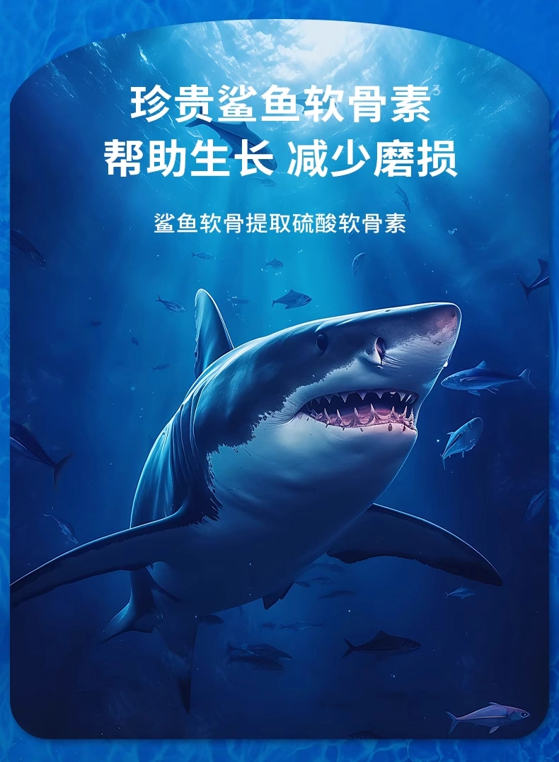 爬寵關節鯊魚軟骨素護關節補營養高含量蜥蜴關節鯊魚軟骨素OEM
