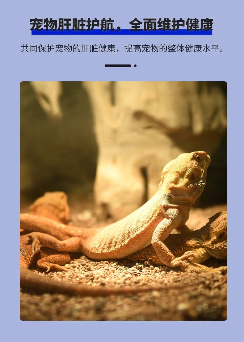 爬寵護肝素陸龜專用護肝素顆粒爬寵應激期 / 術后肝臟調理廠家OEM