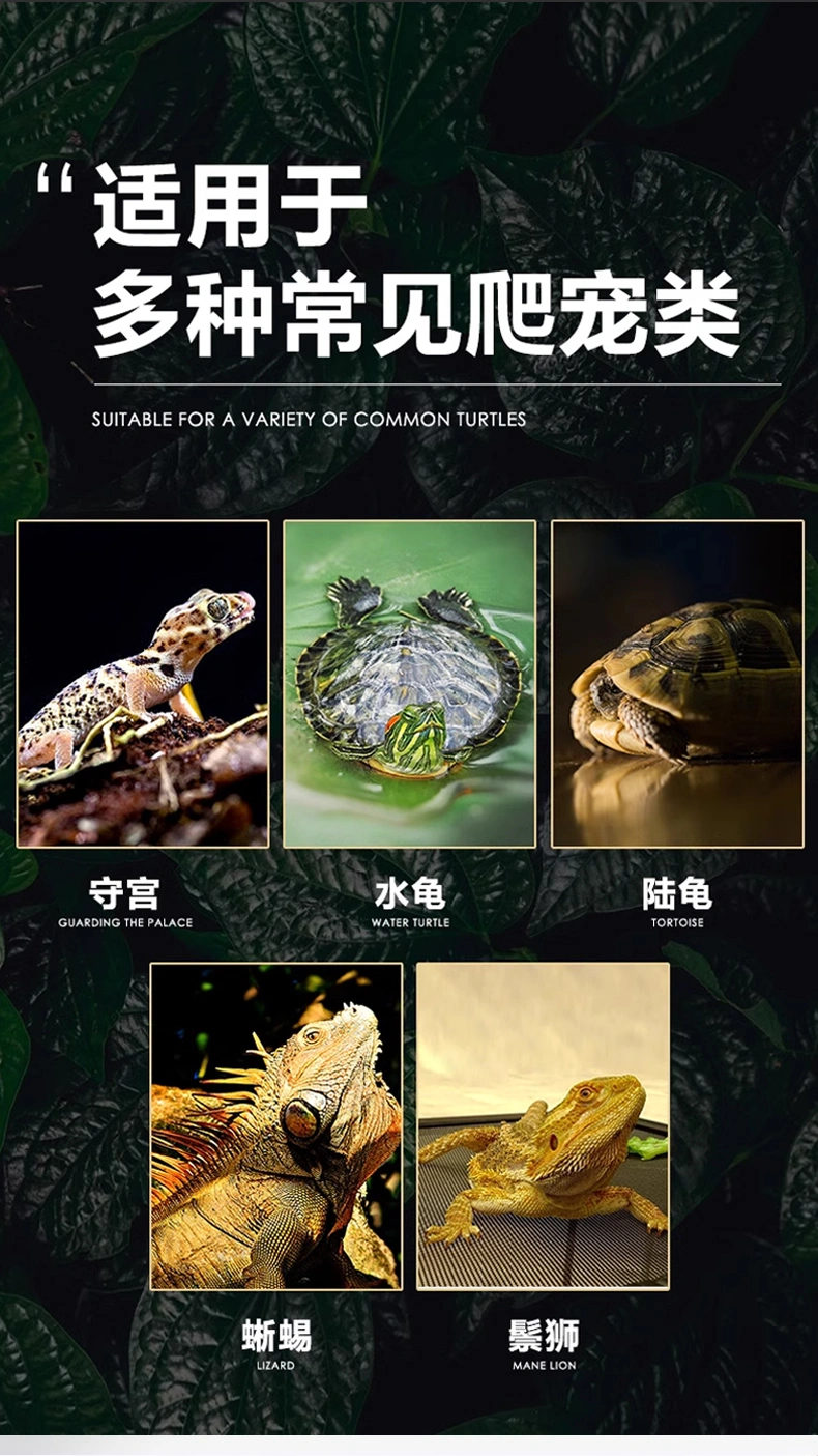 爬寵滴眼液蜥蜴眼部護理液抑菌清潔防結膜炎爬寵洗眼液OEM代工