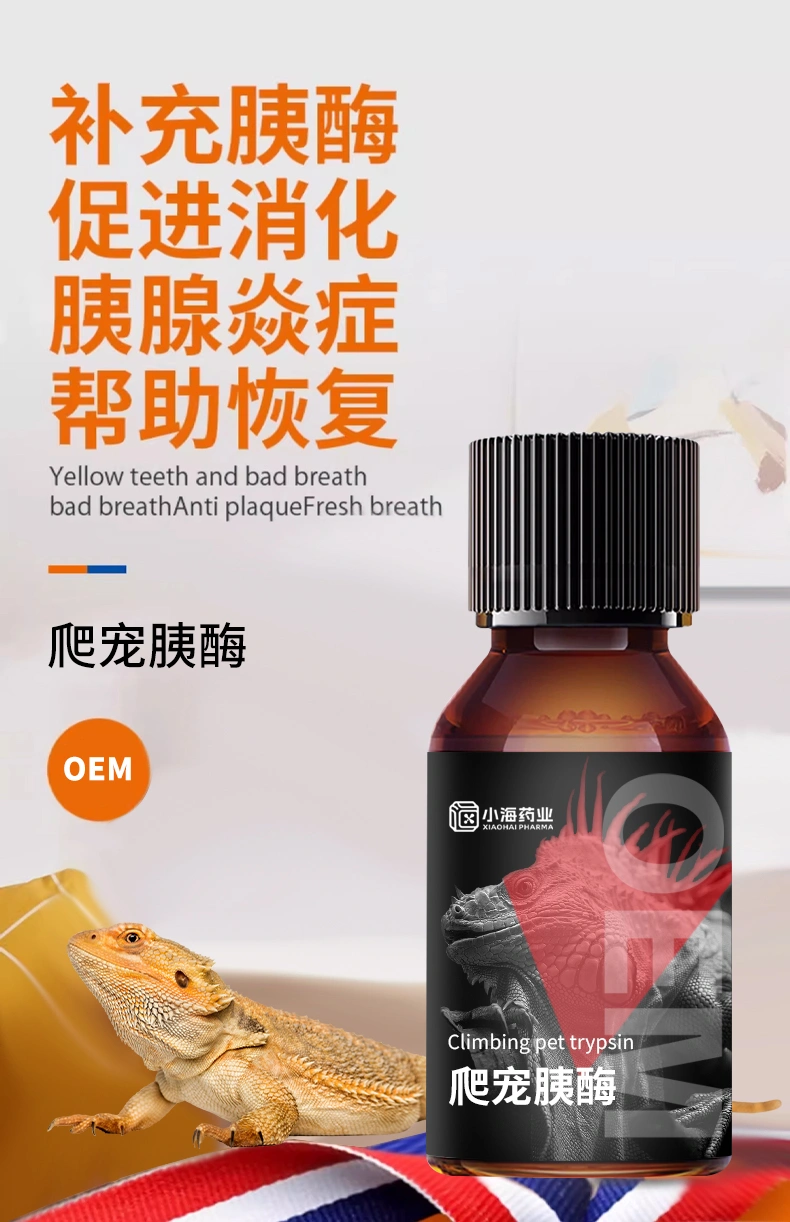 爬寵胰酶蜥蜴專(zhuān)用胰酶制劑提升消化酶活性促吸收營(yíng)養(yǎng)保健OEM貼牌
