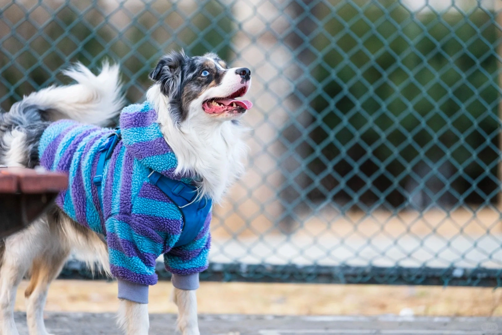 【寵物肛門腺噴霧代工】如何保證每批貨品質穩(wěn)定？小海藥業(yè)詳解原料供應鏈