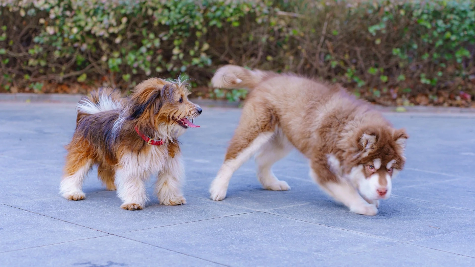 雙向賦能，市場共贏：大海醫藥與方騰農業開啟協同增長新篇章