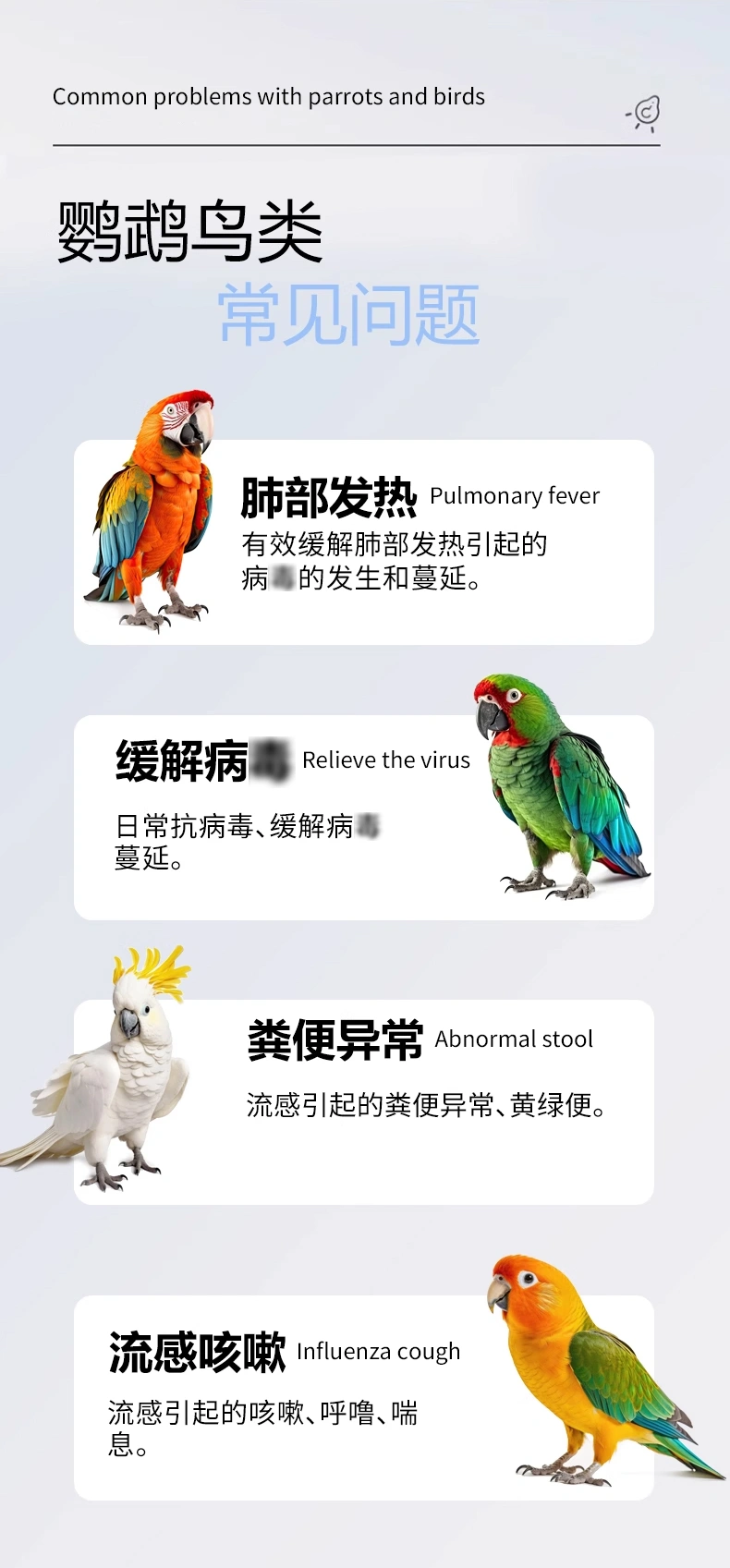 鸚鵡肺寧口服液平喘潤肺營養(yǎng)液鳥用支氣管調(diào)理液OEM貼牌代加工