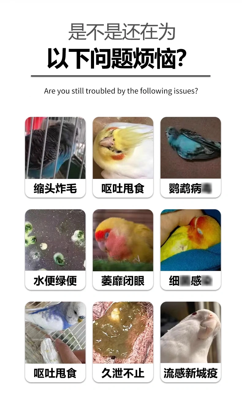 鸚鵡霉菌凈鳥類專用調理腸道去霉凈鸚鵡飼料脫霉劑OEM貼牌加工