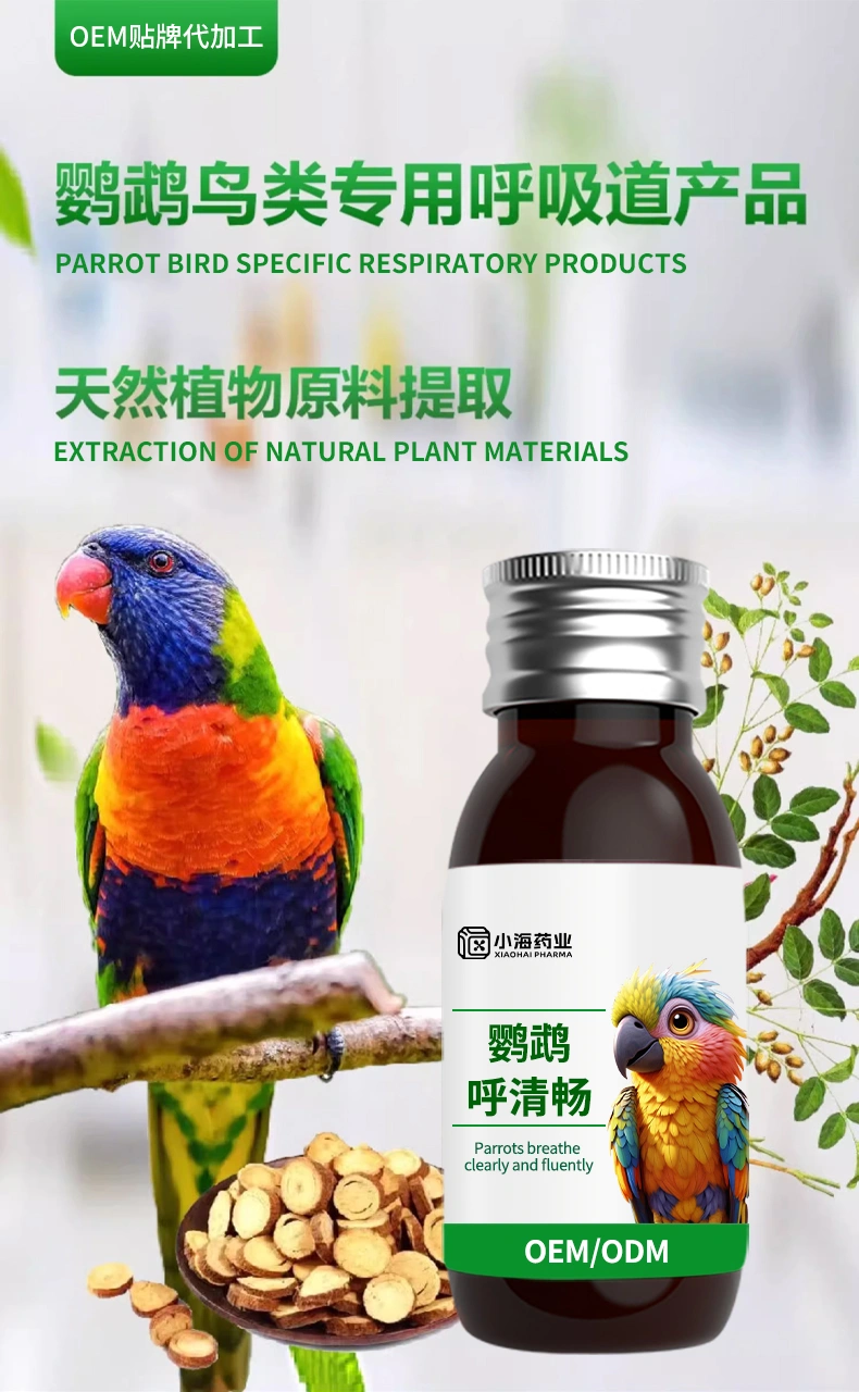 鸚鵡呼清暢溶液口服咳喘寧鳥用呼吸道止咳氣喘保健OEM貼牌代加工