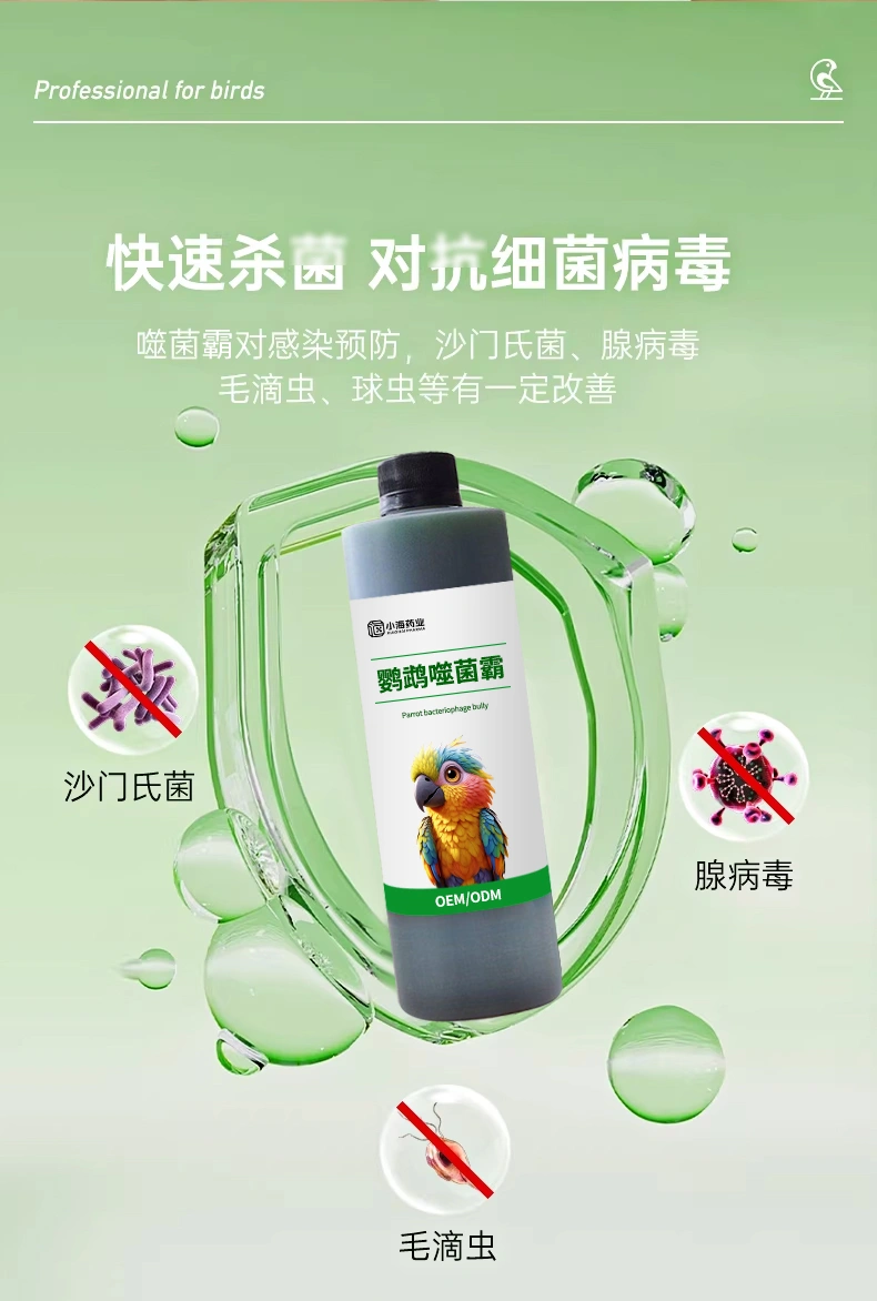 鸚鵡噬菌霸鳥用調理腸道沙門氏菌水便綠便拉稀大腸桿菌專用調理
