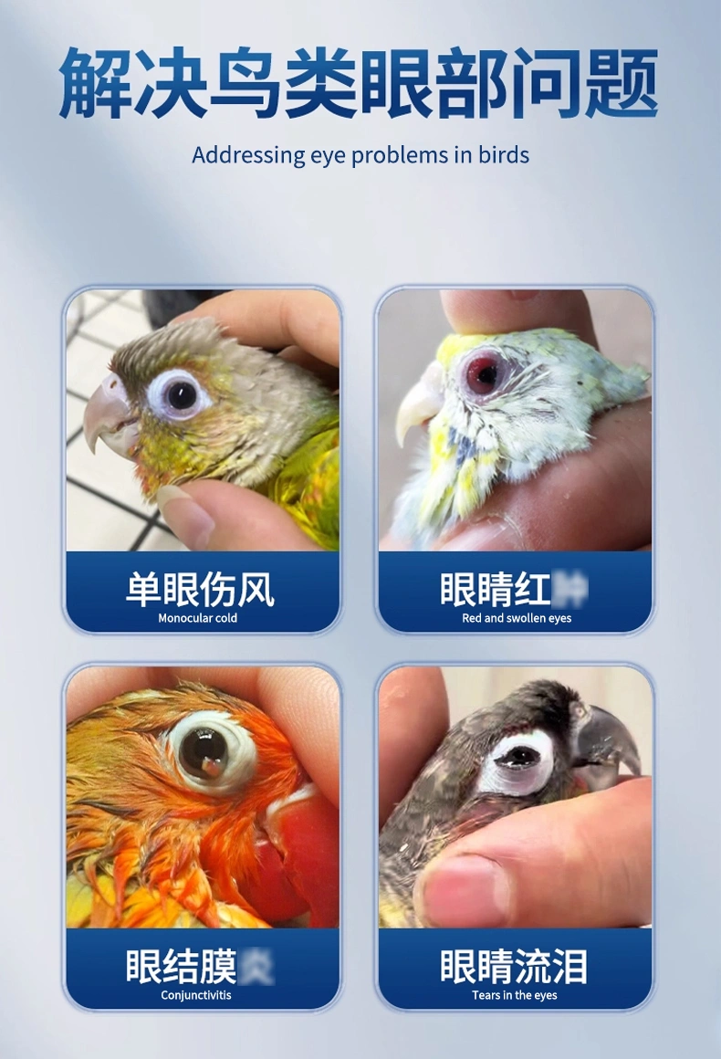鸚鵡衣原凈鳥類通用眼腫流淚口服衣原清鸚鵡眼部感染衣支康OEM