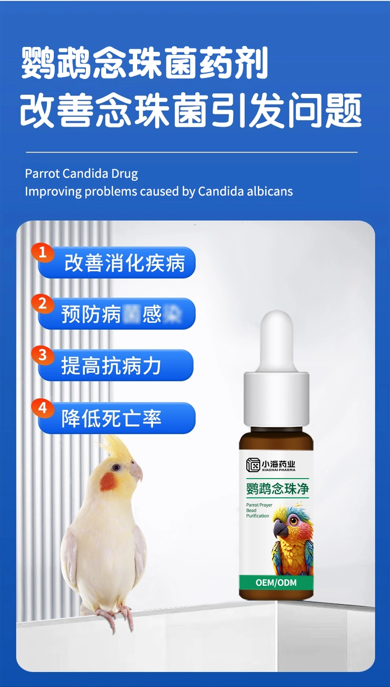鸚鵡念珠凈清理口腔呼滴凈溶液鳥用口癀念珠清OEM貼牌代加工
