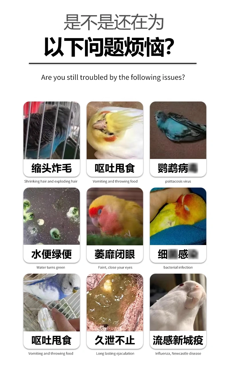 鸚鵡支原凈口服液觀賞鳥呼吸道咳嗽氣喘營養液鸚鵡一滴靈OEM代工
