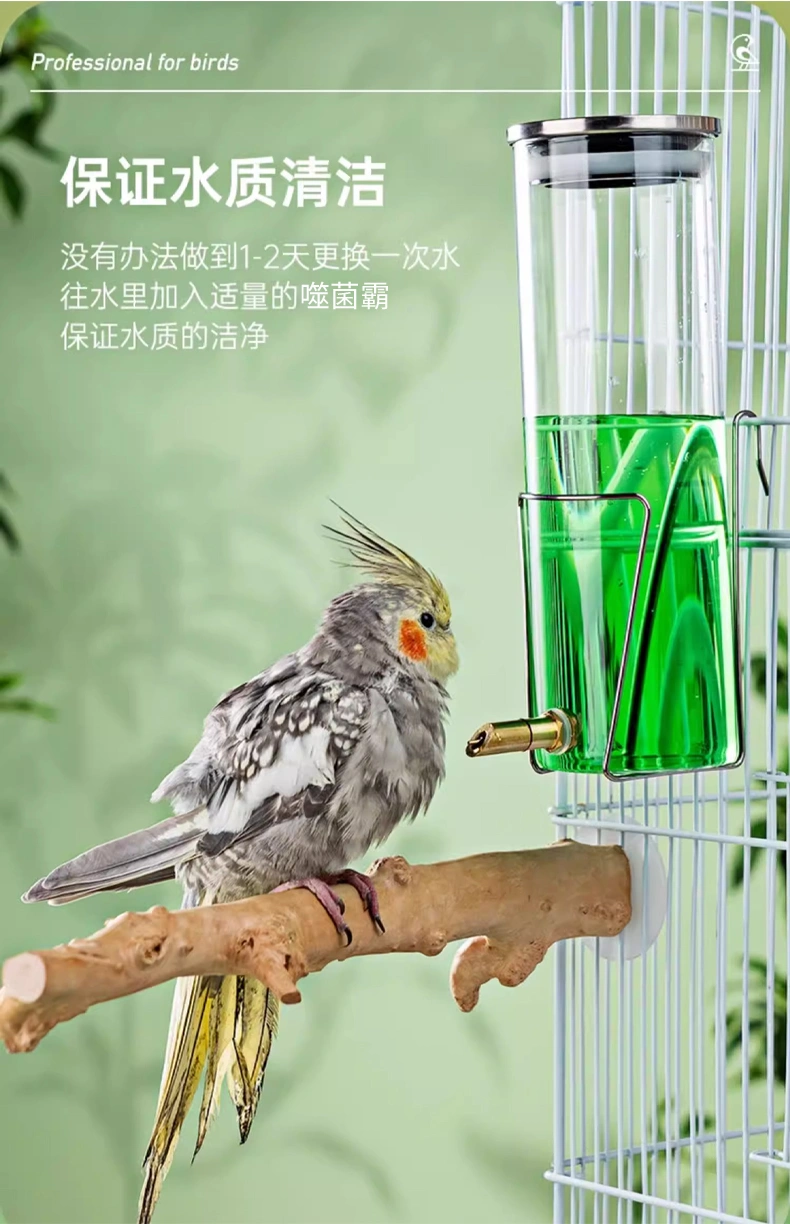 鸚鵡噬菌霸鳥用調理腸道沙門氏菌水便綠便拉稀大腸桿菌專用調理