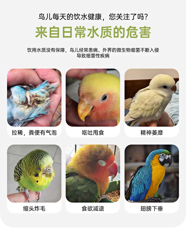 鸚鵡噬菌霸鳥用調理腸道沙門氏菌水便綠便拉稀大腸桿菌專用調理
