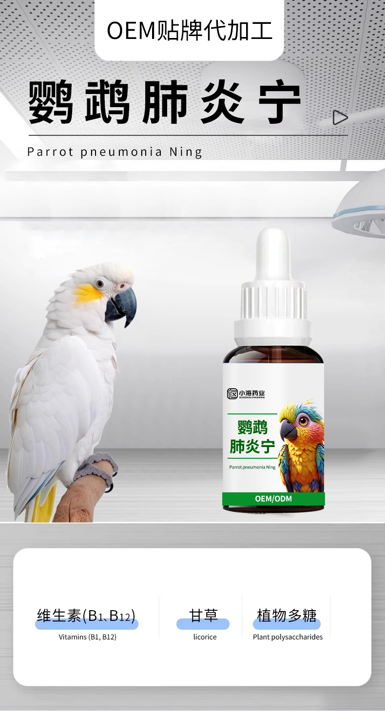 鸚鵡肺寧口服液平喘潤肺營養(yǎng)液鳥用支氣管調(diào)理液OEM貼牌代加工