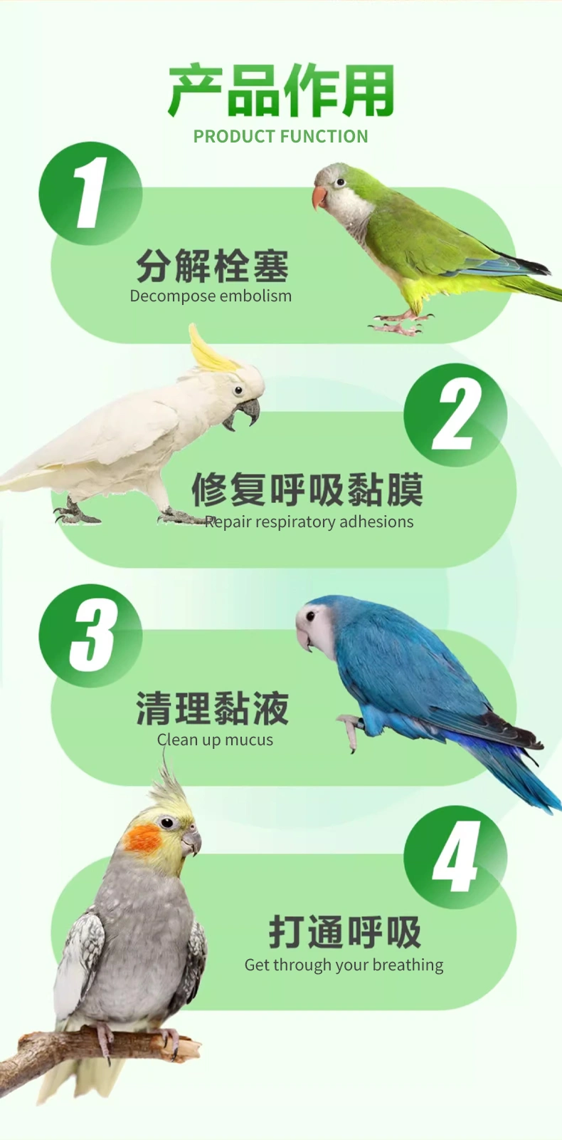 鸚鵡呼清暢溶液口服咳喘寧鳥用呼吸道止咳氣喘保健OEM貼牌代加工