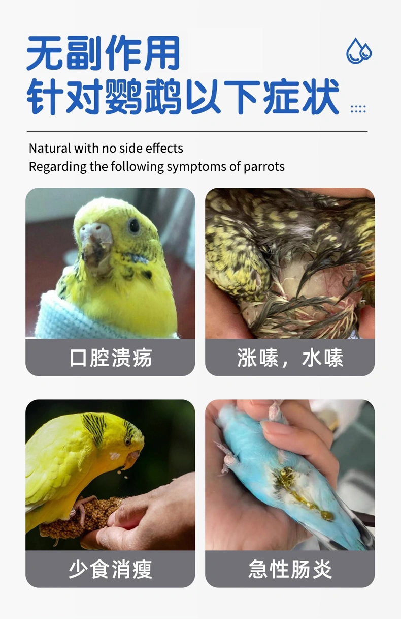 鸚鵡念珠凈清理口腔呼滴凈溶液鳥用口癀念珠清OEM貼牌代加工