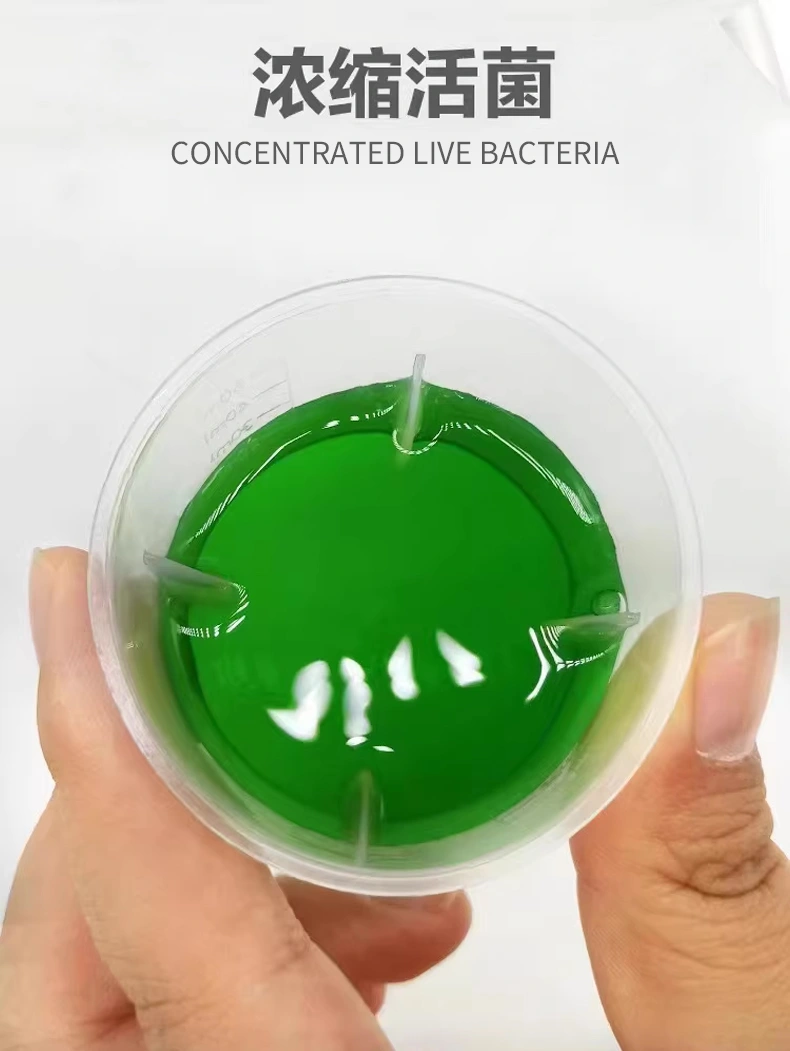 鸚鵡噬菌霸鳥用調理腸道沙門氏菌水便綠便拉稀大腸桿菌專用調理