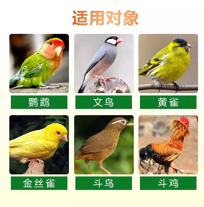 鸚鵡鼻子堵塞鳥(niǎo)用鼻炎康營(yíng)養(yǎng)粉鸚鵡專用鼻部營(yíng)養(yǎng)膏OEM定制代加工