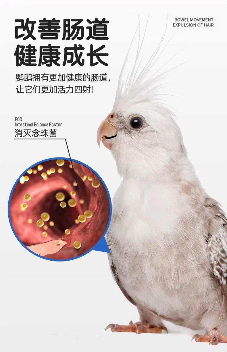 鸚鵡念珠凈清理口腔呼滴凈溶液鳥用口癀念珠清OEM貼牌代加工
