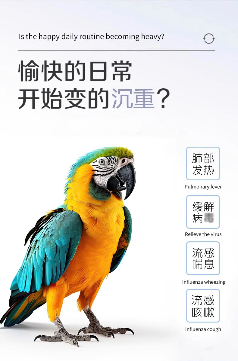 鸚鵡肺寧口服液平喘潤肺營養(yǎng)液鳥用支氣管調(diào)理液OEM貼牌代加工