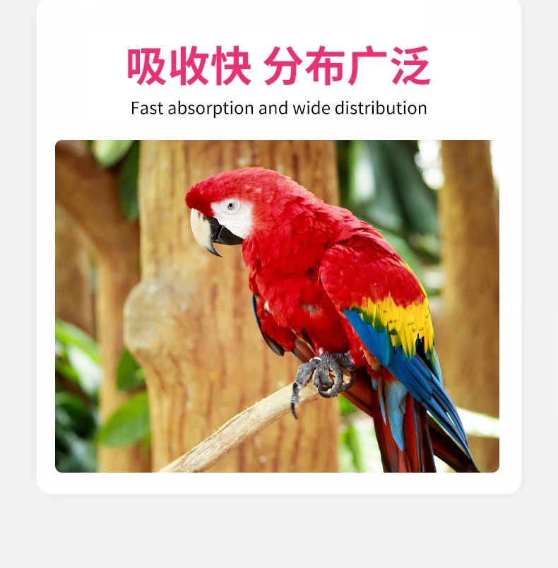 鸚鵡支原凈口服液觀賞鳥呼吸道咳嗽氣喘營養液鸚鵡一滴靈OEM代工