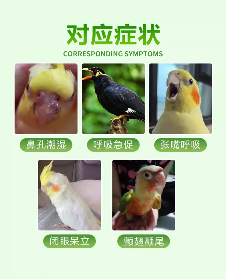 鸚鵡呼清暢溶液口服咳喘寧鳥用呼吸道止咳氣喘保健OEM貼牌代加工