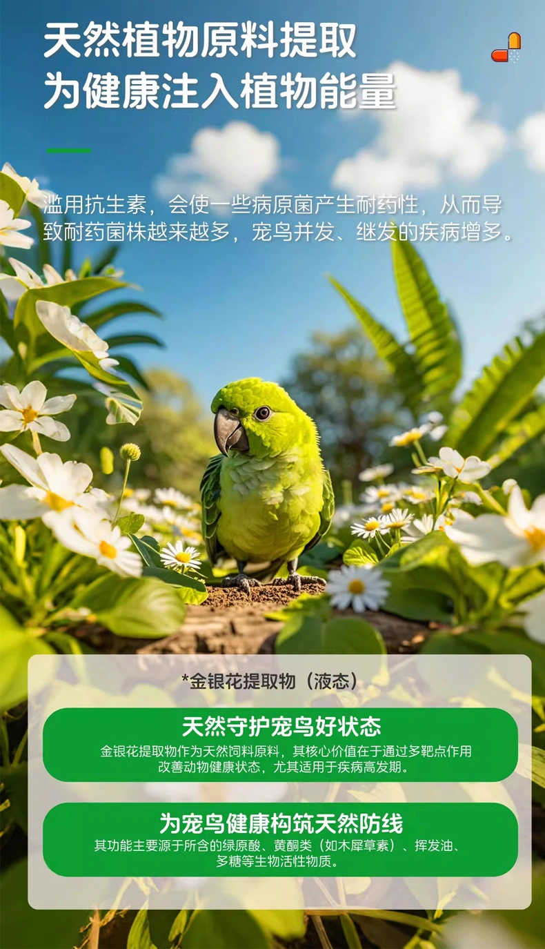 鸚鵡鼻子堵塞鳥(niǎo)用鼻炎康營(yíng)養(yǎng)粉鸚鵡專用鼻部營(yíng)養(yǎng)膏OEM定制代加工