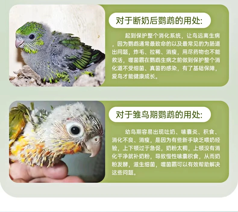 鸚鵡噬菌霸鳥用調理腸道沙門氏菌水便綠便拉稀大腸桿菌專用調理