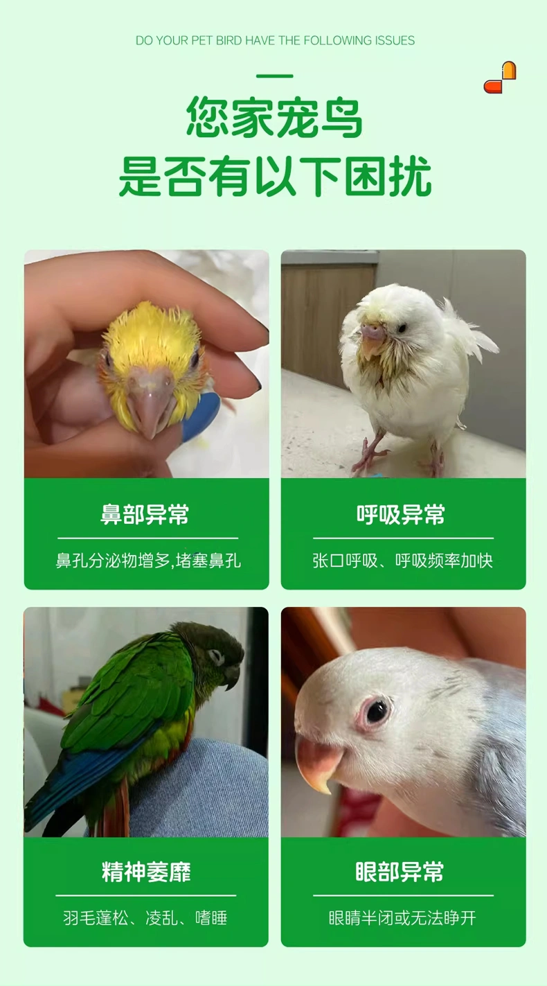 鸚鵡鼻子堵塞鳥(niǎo)用鼻炎康營(yíng)養(yǎng)粉鸚鵡專用鼻部營(yíng)養(yǎng)膏OEM定制代加工