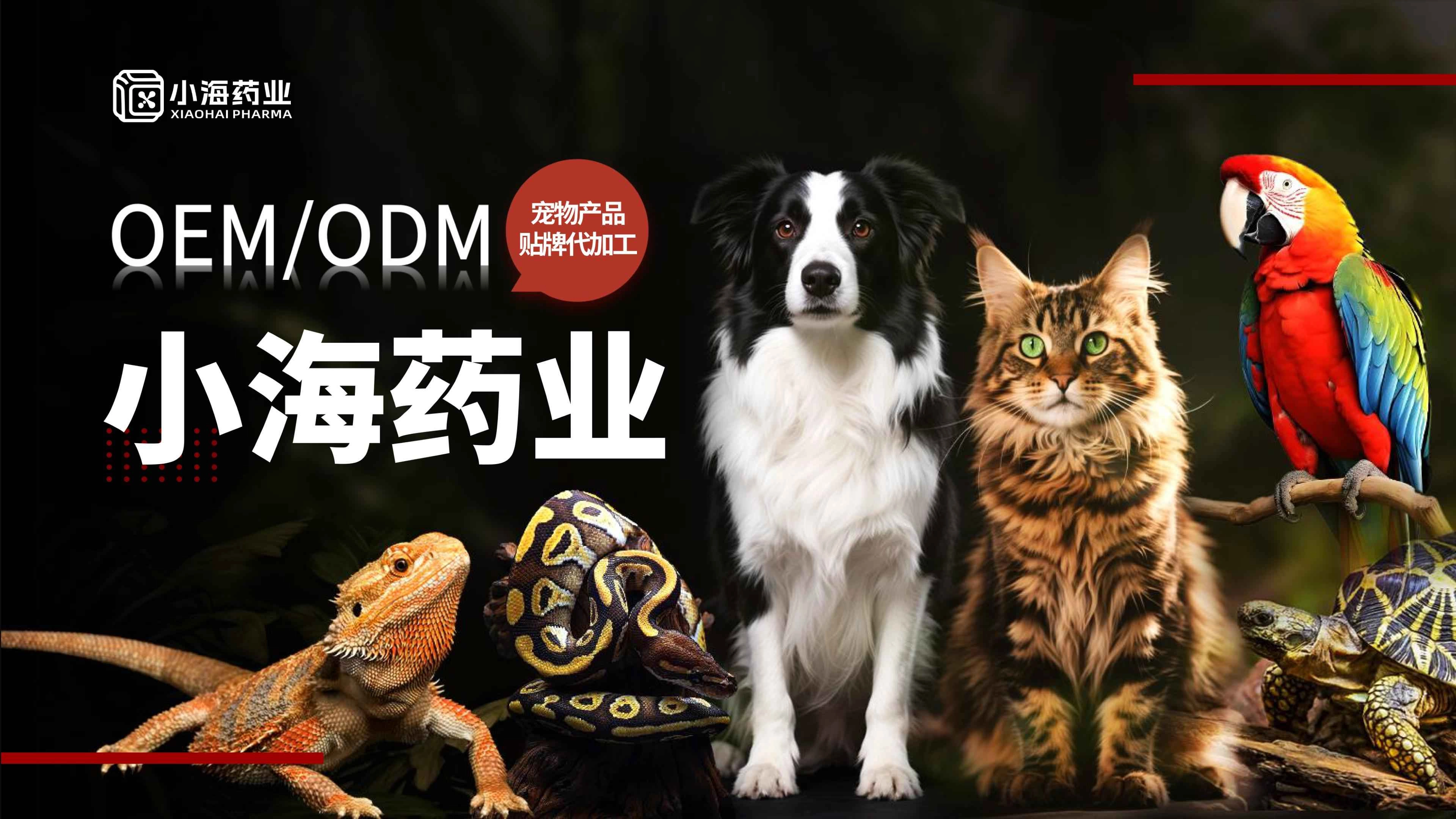 小海藥業-專注寵物產品代工，定義代工新標準
