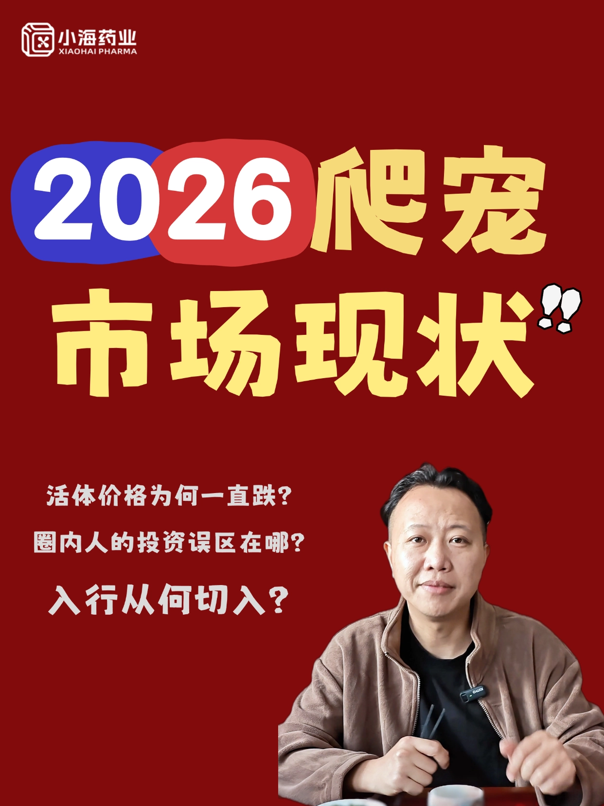 為什么2026年爬寵的價格一跌再跌？